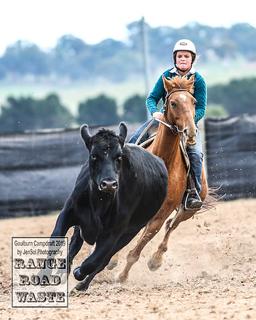 GoulburnCampdraft2019_5033