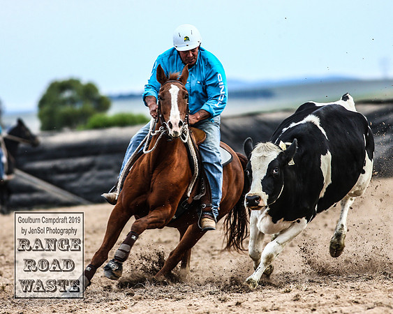 GoulburnCampdraft2019_4806