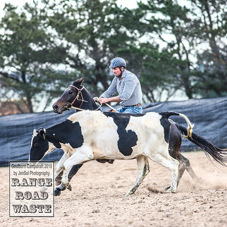 GoulburnCampdraft2019_4953