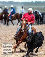 GoulburnCampdraft2019_4125