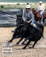 GoulburnCampdraft2019_4109