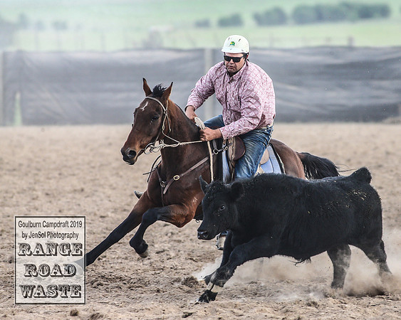 GoulburnCampdraft2019_4391