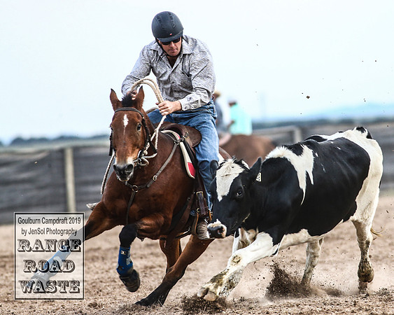 GoulburnCampdraft2019_4925