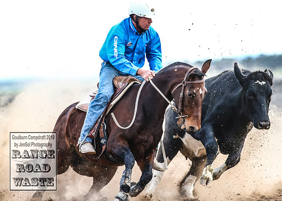GoulburnCampdraft2019_4987