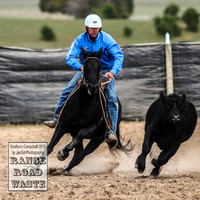 GoulburnCampdraft2019_4079