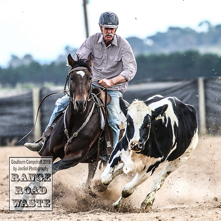 GoulburnCampdraft2019_4852