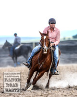 GoulburnCampdraft2019_4187
