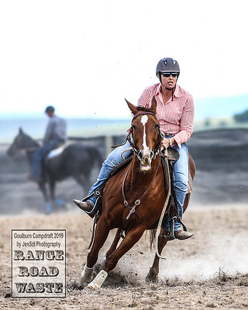 GoulburnCampdraft2019_4187