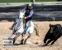 GoulburnCampdraft2019_4090