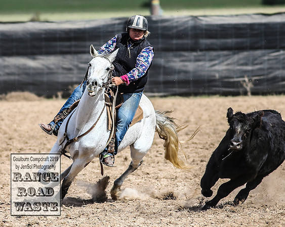GoulburnCampdraft2019_4090