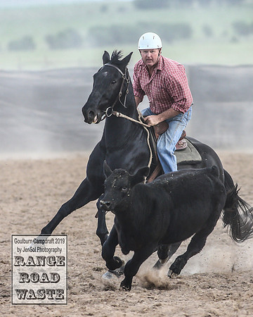 GoulburnCampdraft2019_4358
