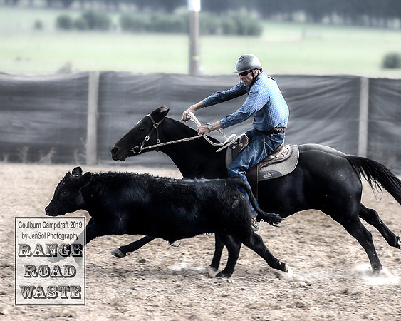 GoulburnCampdraft2019_4423