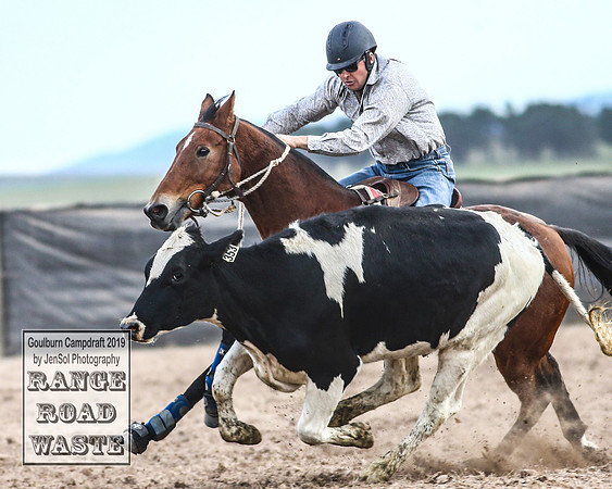 GoulburnCampdraft2019_4911