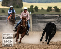 GoulburnCampdraft2019_4095