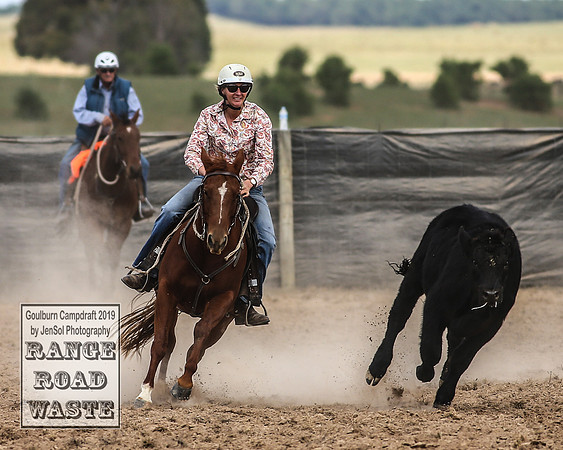 GoulburnCampdraft2019_4095