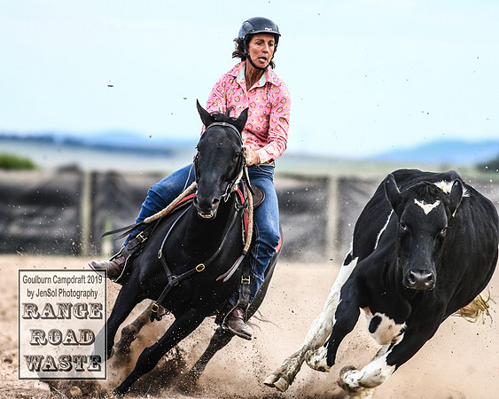 GoulburnCampdraft2019_4817