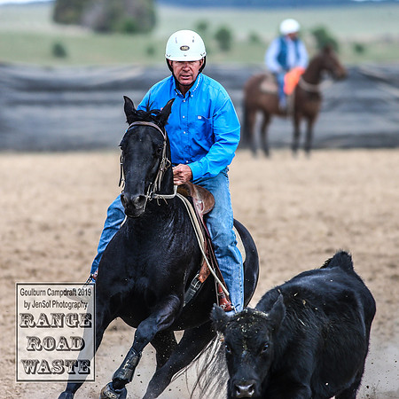 GoulburnCampdraft2019_4062