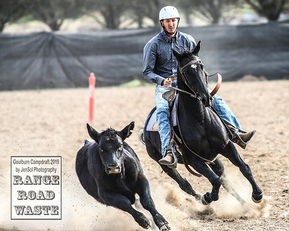 GoulburnCampdraft2019_4504