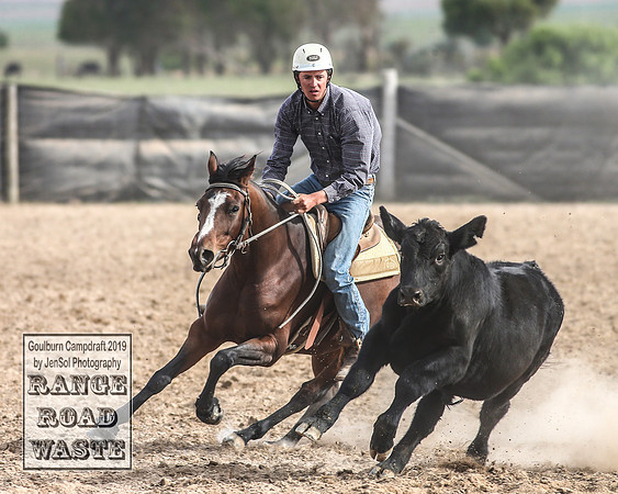 GoulburnCampdraft2019_4490