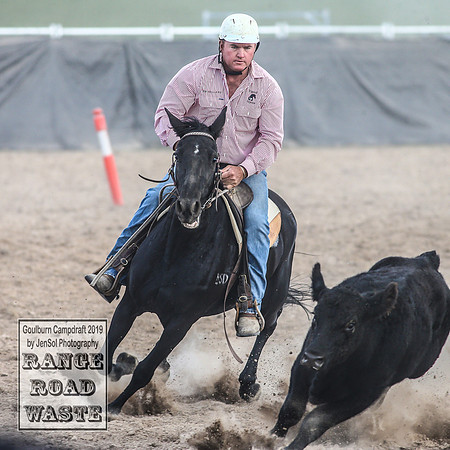 GoulburnCampdraft2019_4335