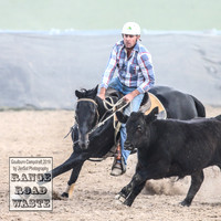 GoulburnCampdraft2019_4259