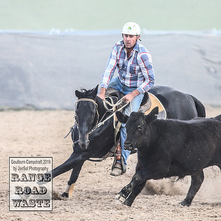 GoulburnCampdraft2019_4259