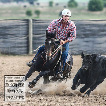 GoulburnCampdraft2019_4402