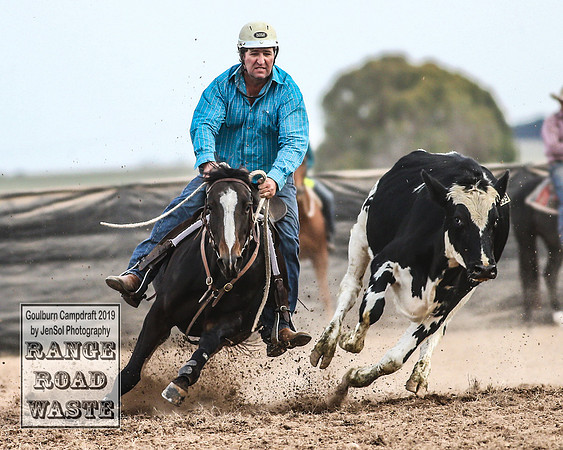 GoulburnCampdraft2019_4882