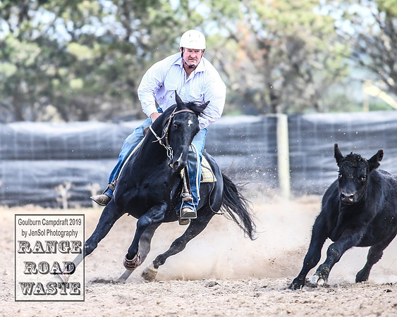 GoulburnCampdraft2019_4192