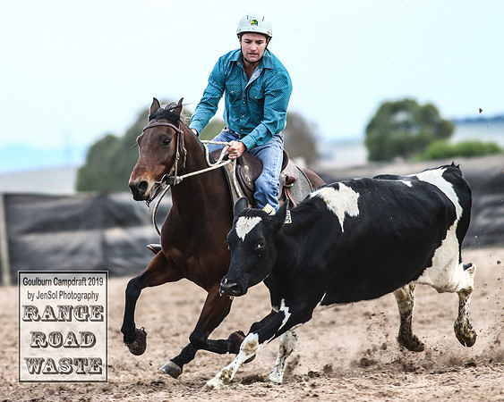 GoulburnCampdraft2019_5009