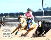 GoulburnCampdraft2019_4198