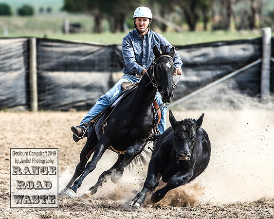 GoulburnCampdraft2019_4497