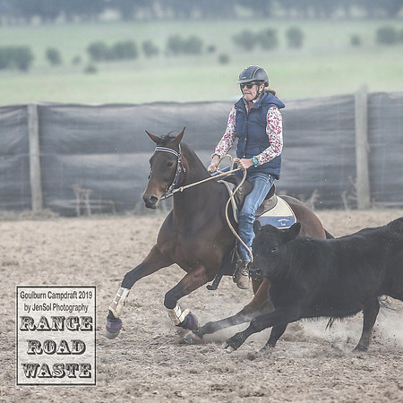 GoulburnCampdraft2019_4298