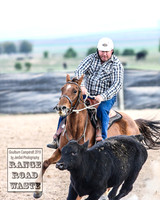 GoulburnCampdraft2019_4248