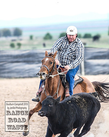 GoulburnCampdraft2019_4248