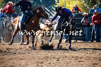 TumutRodeo2016_1224