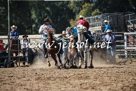 TumutRodeo2016_2595