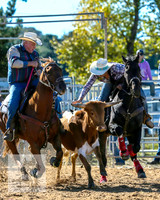 BraidwoodRodeo2015_0316