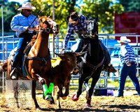 BraidwoodRodeo2015_0513