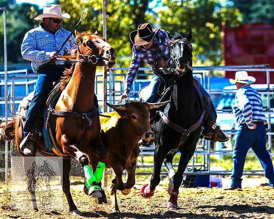 BraidwoodRodeo2015_0513