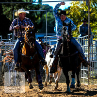 BraidwoodRodeo2015_0281