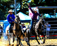 BraidwoodRodeo2015_0482
