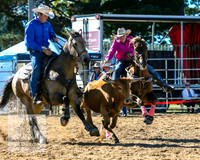 BraidwoodRodeo2015_0306