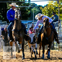 BraidwoodRodeo2015_0295