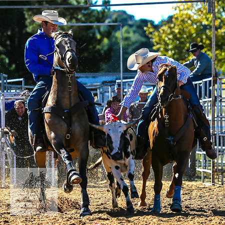 BraidwoodRodeo2015_0295