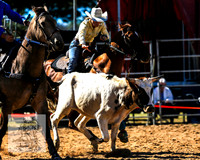 BraidwoodRodeo2015_0473