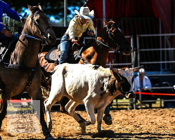 BraidwoodRodeo2015_0473