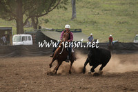 CabanandraCampdraft2013_1D_0004