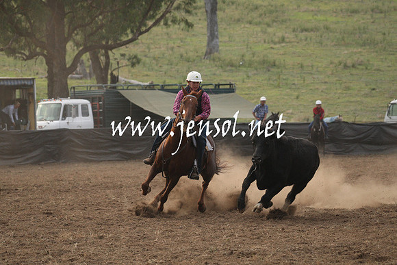 CabanandraCampdraft2013_1D_0004
