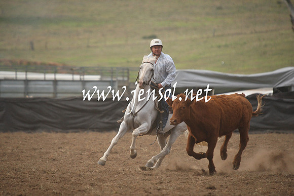 CabanandraCampdraft2013_1D_0033